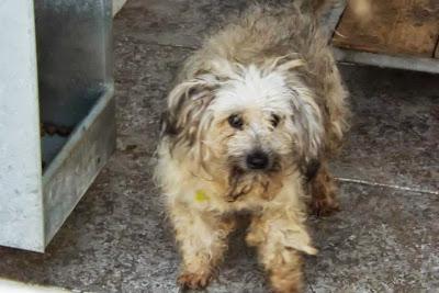 MAIRENA, Si no salen pronto, no aguantarán mucho más....