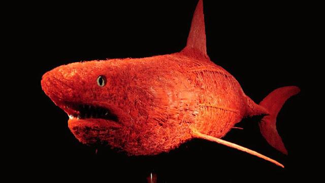 Toda la sangre roja de un tiburón azul