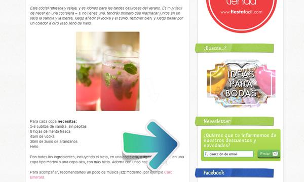 newsletter fiestafacil