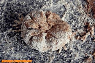 PAN INTEGRAL MEDIEVAL