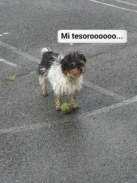 Estamos tan Agustito VI. Mi Tesorooo... estamos tan agustito