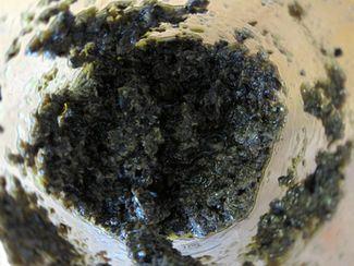 Gratinado de habicholillas con tapenade vegetariano