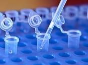 test: Experimentos necesitas conocer