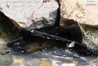 La Estrella de El Guarco, Cartago