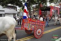 Desfile de Boyeros de San José -2012-