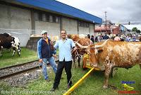 Desfile de Boyeros de San José -2012-