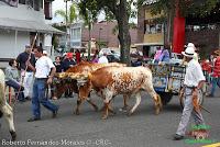 Desfile de Boyeros de San José -2012-
