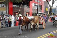 Desfile de Boyeros de San José -2012-