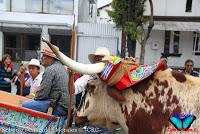 Desfile de Boyeros de San José -2012-