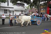 Desfile de Boyeros de San José -2012-