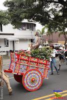 Desfile de Boyeros de San José -2012-