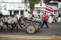Desfile de Boyeros de San José -2012-