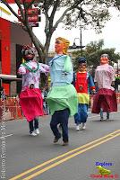Desfile de Boyeros de San José -2012-