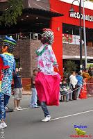 Desfile de Boyeros de San José -2012-