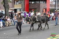 Desfile de Boyeros de San José -2012-