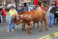 Desfile de Boyeros de San José -2012-