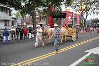 Desfile de Boyeros de San José -2012-