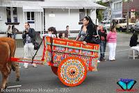 Desfile de Boyeros de San José -2012-