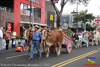 Desfile de Boyeros de San José -2012-