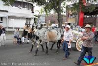 Desfile de Boyeros de San José -2012-