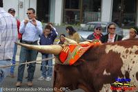 Desfile de Boyeros de San José -2012-