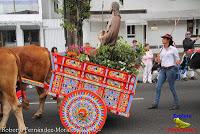 Desfile de Boyeros de San José -2012-