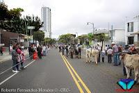 Desfile de Boyeros de San José -2012-