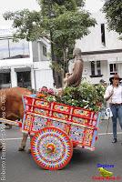 Desfile de Boyeros de San José -2012-