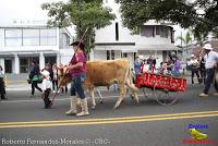 Desfile de Boyeros de San José -2012-