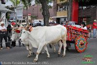 Desfile de Boyeros de San José -2012-