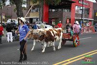 Desfile de Boyeros de San José -2012-
