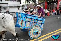 Desfile de Boyeros de San José -2012-