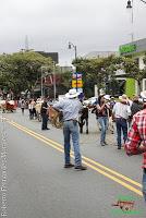 Desfile de Boyeros de San José -2012-