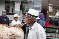 Desfile de Boyeros de San José -2012-