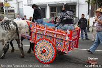 Desfile de Boyeros de San José -2012-