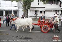Desfile de Boyeros de San José -2012-