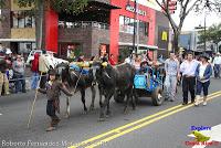 Desfile de Boyeros de San José -2012-