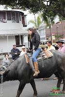 Desfile de Boyeros de San José -2012-