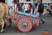 Desfile de Boyeros de San José -2012-