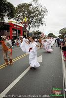 Desfile de Boyeros de San José -2012-