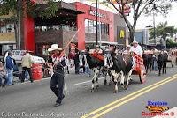 Desfile de Boyeros de San José -2012-