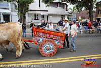 Desfile de Boyeros de San José -2012-