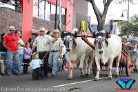 Desfile de Boyeros de San José -2012-