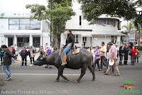 Desfile de Boyeros de San José -2012-