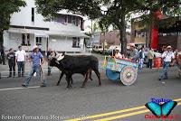 Desfile de Boyeros de San José -2012-