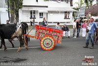 Desfile de Boyeros de San José -2012-