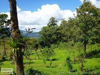 Bijagua de Upala -Tierras Altas-