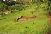 Bijagua de Upala -Tierras Altas-