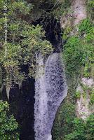 La Ruta hacia la Reserva El Copal