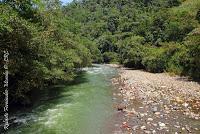 La Ruta hacia la Reserva El Copal